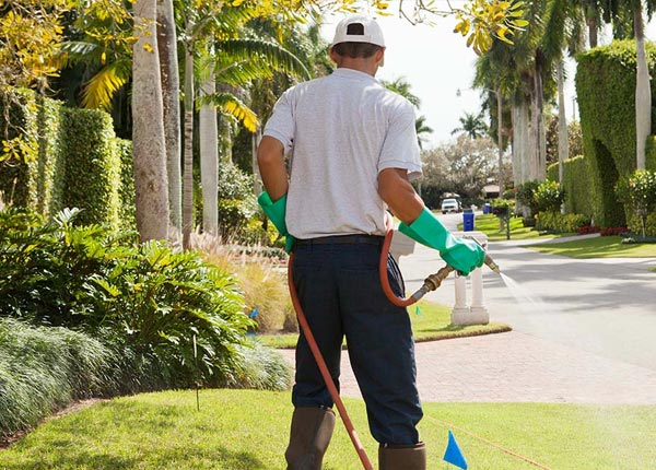 About Carson NM Pest Control